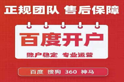 SEM竞价推广案例：打造行业领先的广告投放策略